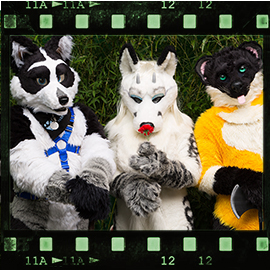 Eurofurence 2015 fursuit photoshoot. Preview picture of Teeko, Venatura, Booly